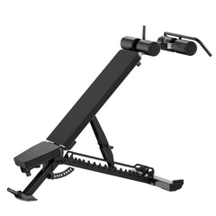 Apex Ab Trainer