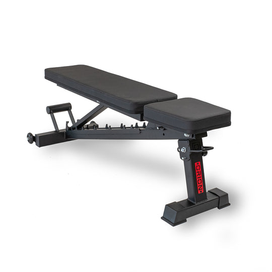 Orion Bench EX170 Elite Folding Adjustable Bench