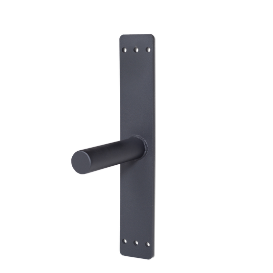REP Fitness Storage Single Wall Mounted Plate Storage