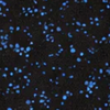 Ocean Blue Speckle