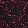 Pink Speckle