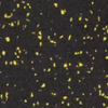 Yellow Speckle